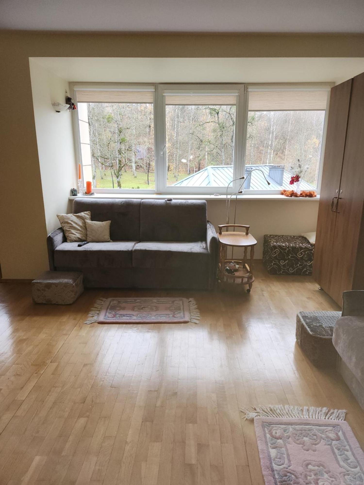Ramresort Apartment Birstonas Bagian luar foto